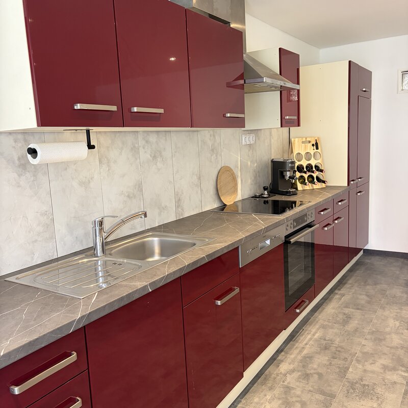 Voll-ausgestattete-Kueche-Dost-mit-Espressomaschine-und-Weinregal-Langerhof-Hannersdorf