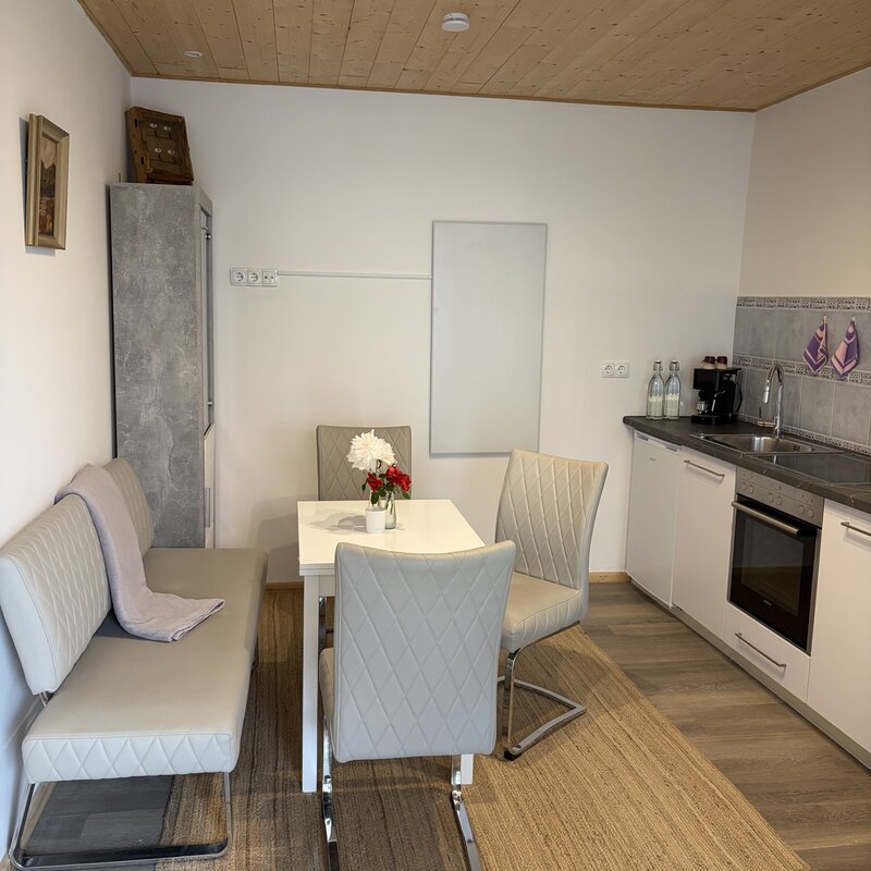 Küche Essplatz mit Infrarotheizung und komplett eingerichteter Kuechenzeile Wohnung Holler Langerhof Hannersdorf Suedburgenland