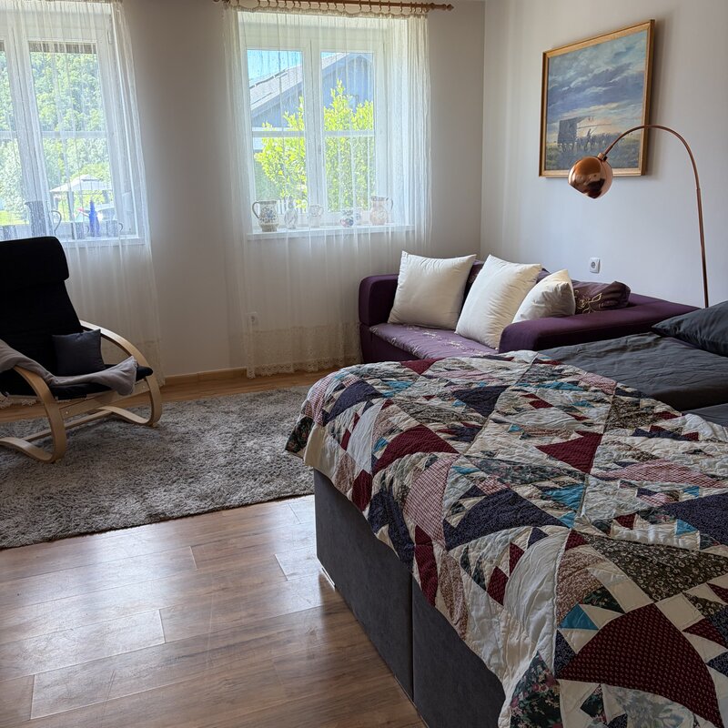 Wohnzimmer Holler mit Klimaanlage Boxspringbett und Schlafcouch Langerhof Hannersdorf Suedburgenland