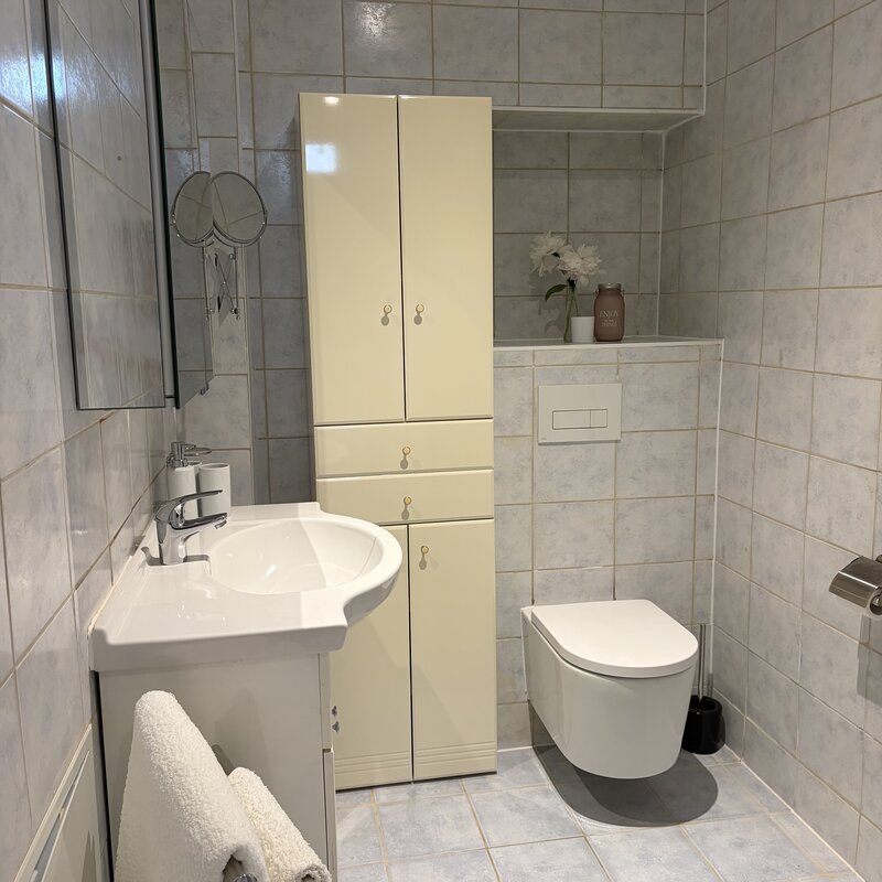 Bad in der Wohnung Holler mit Tiefspül-Hänge-WC, begehbarer Regendusche und Infrarotheizung im Langerhof Hannersdorf Südburgenland