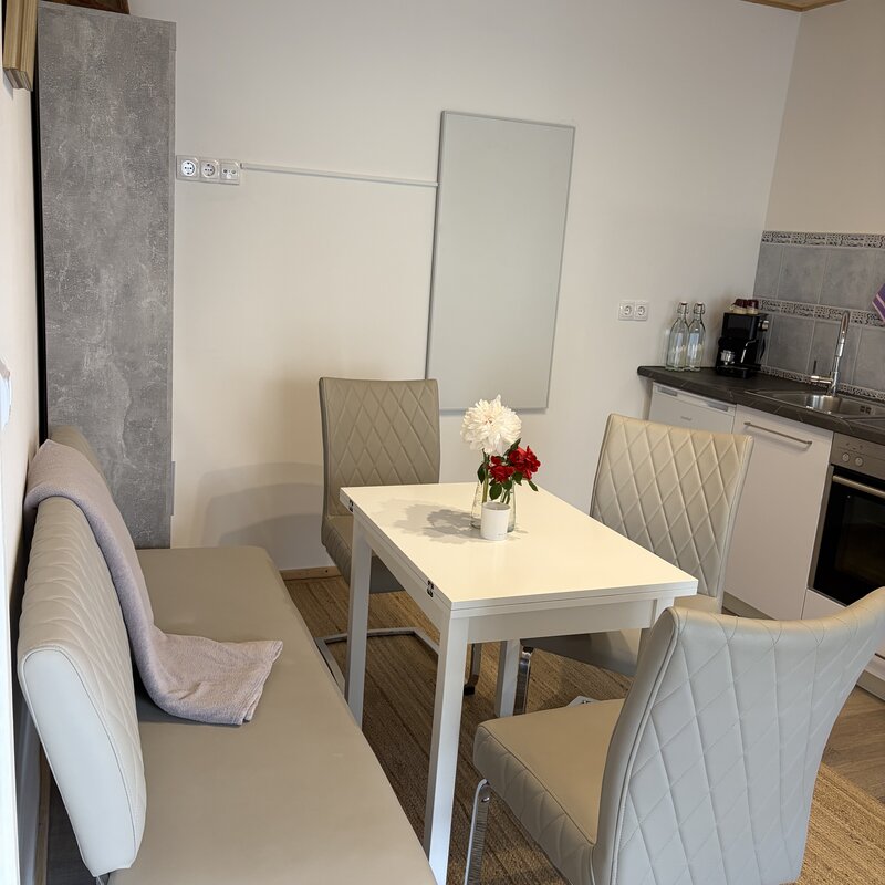 Essplatz mit Infrarotheizung und Küchenzeile in der Kueche der Wohnung Holler im Langerhof Hannersdorf Suedburgenland