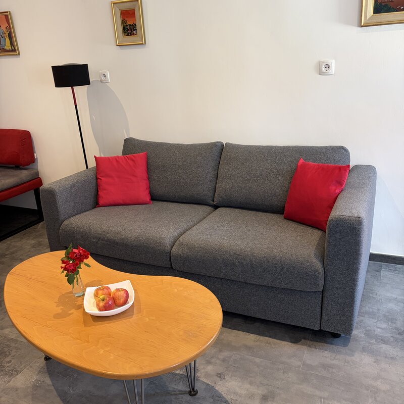 Schlafcouch mit Doppelbettfunktion und Couchtisch in der Wohnküche der Wohnung Dost im Langerhof Hannersdorf Suedburgenland